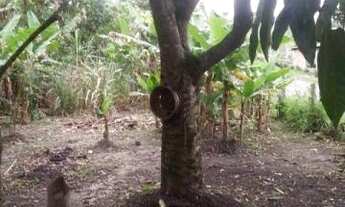 Imagem 3: CHACARA TEMPORADA em IGARATA - SP, rio do peixe