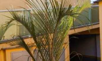 Imagem 3: CASA RESIDENCIAL em SÃO PAULO - SP, VILA ANTONIETA