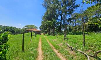 Imagem: SÍTIO 6,15 ALQUEIRES - PRÓXIMO A BADY