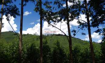 Imagem: TERRENO RURAL em JOANÓPOLIS - SP, RURAL