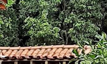 Imagem 6: SITIO RURAL em TUIUTI - SP, Bairro do Godóy