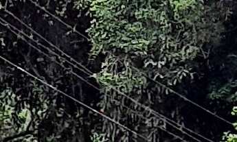 Imagem: SITIO RURAL em TUIUTI - SP, Bairro do Godóy