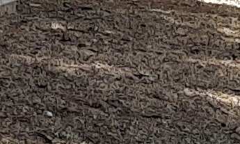 Imagem 7: CHACARA RESIDENCIAL em JOANÓPOLIS - SP, REPRESA