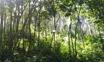 Imagem 7: AREA RURAL em ATIBAIA - SP, BOA VISTA