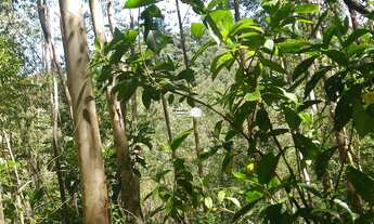 Imagem 6: AREA RURAL em ATIBAIA - SP, BOA VISTA