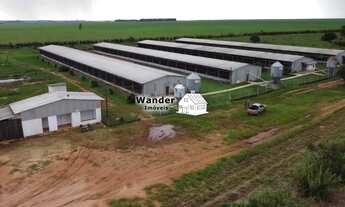 Imagem 5: FAZENDA RURAL em SÃO GABRIEL DO OESTE - MS, centro