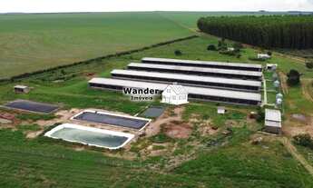 Imagem 6: FAZENDA RURAL em SÃO GABRIEL DO OESTE - MS, centro