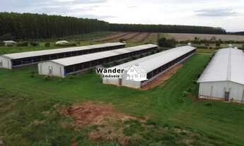 Imagem 2: FAZENDA RURAL em SÃO GABRIEL DO OESTE - MS, centro