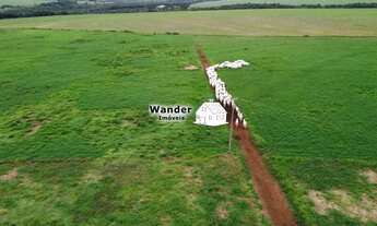 Imagem 4: FAZENDA RURAL em SÃO GABRIEL DO OESTE - MS, centro