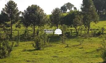 Imagem 5: CHACARA RURAL em MUNHOZ - MG, Rural