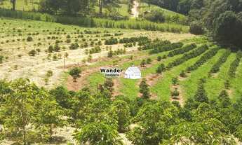 Imagem 6: CHACARA RURAL em MUNHOZ - MG, Rural