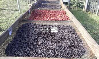 Imagem 2: SITIO RURAL em MUNHOZ - MG, Rural