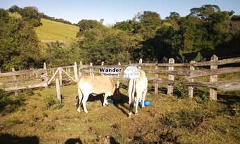 Imagem 6: AREA RURAL em MUNHOZ - MG, Rural