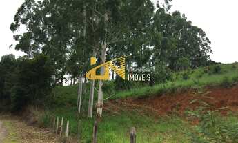 Imagem 7: TERRENO RURAL em Dom Viçoso - MG, Ponte Pedra