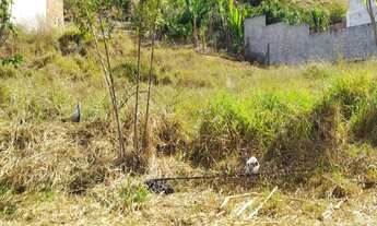 Imagem: LOTE PLANO NO BAIRRO JARDIM SANTA CLARA