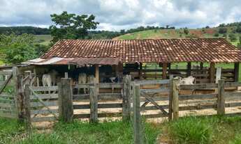 Imagem 3: SÍTIO RURAL LOCALIZADO NO VALE VERDE, IPABA- MG 04 ALQUEIRES COMPOSTO POR: CURRAL, CASA, M