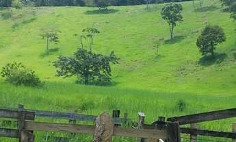 Imagem 6: SÍTIO RURAL LOCALIZADO NO VALE VERDE, IPABA- MG 04 ALQUEIRES COMPOSTO POR: CURRAL, CASA, M