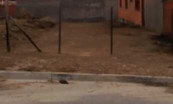 Imagem 3: Terreno para Venda São Clemente 2, Monte Mor