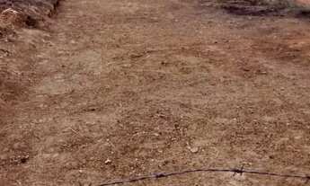 Imagem 4: Terreno para Venda São Clemente 2, Monte Mor