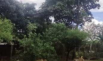 Imagem 7: Chácara Para Venda, com 2 casas, condomínio panorama, atrás do condomínio grota azul, Hort