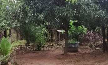 Imagem 6: Chácara Para Venda, com 2 casas, condomínio panorama, atrás do condomínio grota azul, Hort