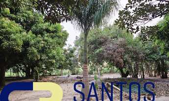 Imagem 6: CHACARA RURAL em CAFELÂNDIA - SP, Cafelândia