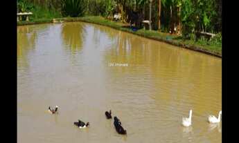 Imagem 3: LINDA MANSÃO A VENDA EM INDAIATUBA