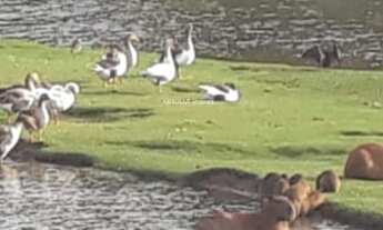 Imagem 6: 5 dormitórios, 1 suítes, 6 banheiro, 2 vagas na garagem, 2500M² de Área Total