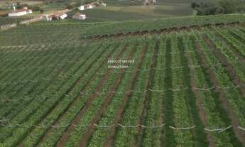 Imagem 2: OPORTUNIDADE SITIO A VENDA A 800 METROS DE ELIAS FAUSTO