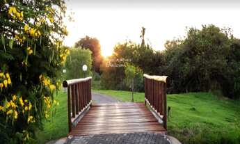 Imagem 5: Linda casa no condominio Terra Magna