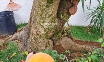 Imagem 4: Belíssima e aconchegante casa no Jardim do Sol