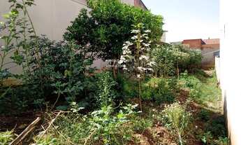 Imagem 6: VENDE-SE TERRENO NO JARDIM PAULISTA I