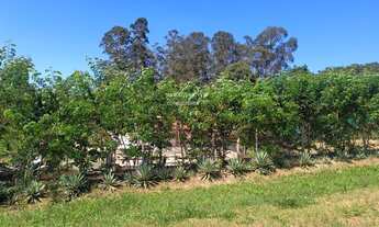 Imagem 2: Chácara à venda em Elias Fausto-SP, 5 quartos, 1 suíte, 1 sala, 1 banheiro, 1 vaga de gara