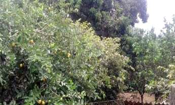 Imagem 2: CHÁCARA em Caçapava - SP, Morro do Cascavel