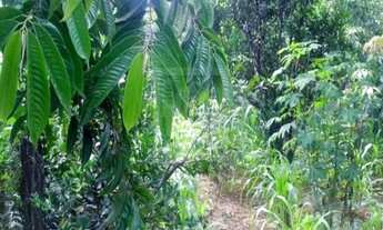 Imagem 7: CHÁCARA em Caçapava - SP, Morro do Cascavel