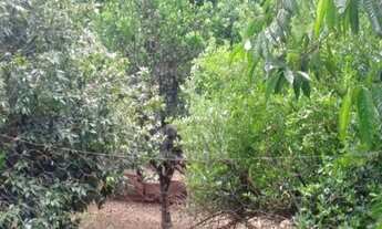 Imagem: CHÁCARA em Caçapava - SP, Morro do Cascavel