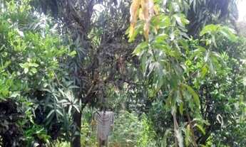 Imagem 3: CHÁCARA em Caçapava - SP, Morro do Cascavel