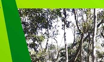 Imagem: Excelente Terreno com 2053,3 m², 20 metros