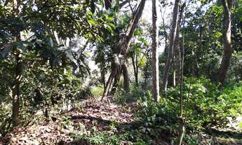 Imagem 7: Excelente Terreno com 2053,3 m², 20 metros de frente, localizado no Cond. Represinha em C