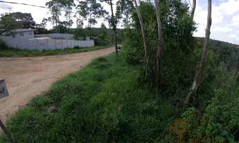 Imagem 6: Excelente oportunidade - Terreno 750 m², a 2 km do asfalto, documentação completa - R$40.0