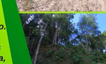 Imagem: Excelente oportunidade - Terreno 750 m²