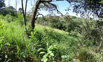 Imagem 6: Terreno 1000 m², com acesso a duas ruas, na Associação Recreativa Fazenda Cachoeira - Mair