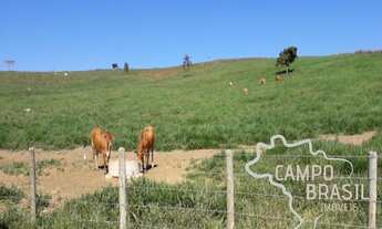 Imagem: Oportunidade Rural! Fazenda de 106 alqueires