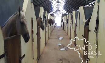 Imagem: Haras de alto padrão com casa sede e três