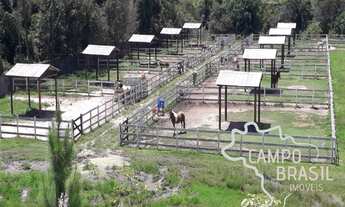 Imagem 2: Haras de alto padrão com casa sede e três alojamentos!