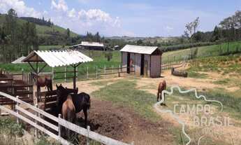 Imagem 5: Haras de alto padrão com casa sede e três alojamentos!