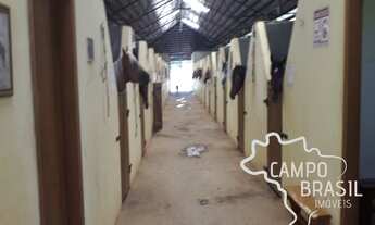 Imagem 6: Haras de alto padrão com casa sede e três alojamentos!