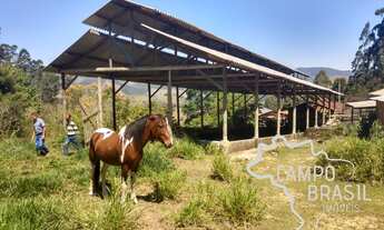 Imagem 6: Ótima fazenda em Monteiro Lobato para produção de leite!!!