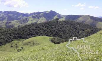 Imagem 2: Área rural para realizar seu sonho! 3 alqueires em São Francisco Xavier!