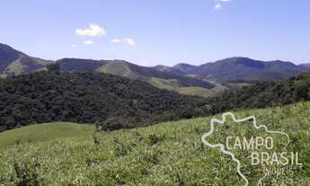 Imagem 3: Área rural para realizar seu sonho! 3 alqueires em São Francisco Xavier!